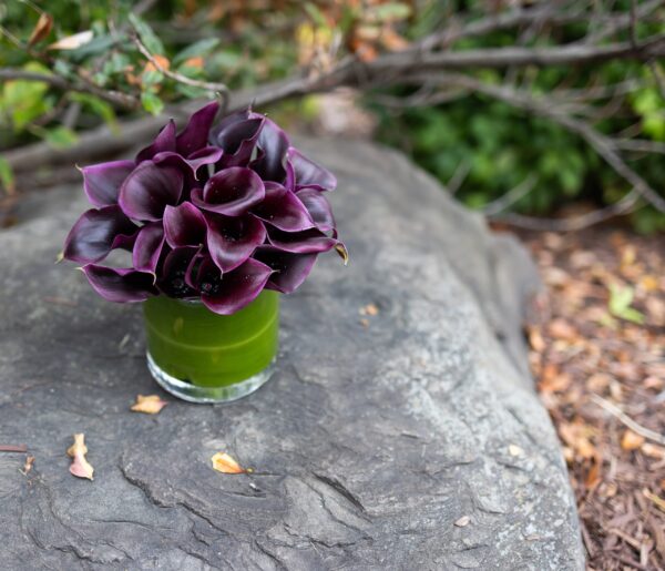 Black Calla Lily Cylinder - Image 4