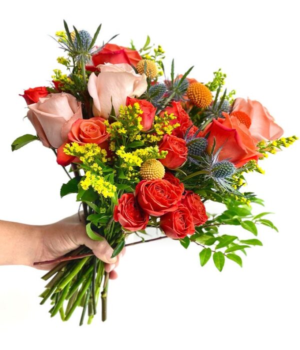 Sunrise Bundle