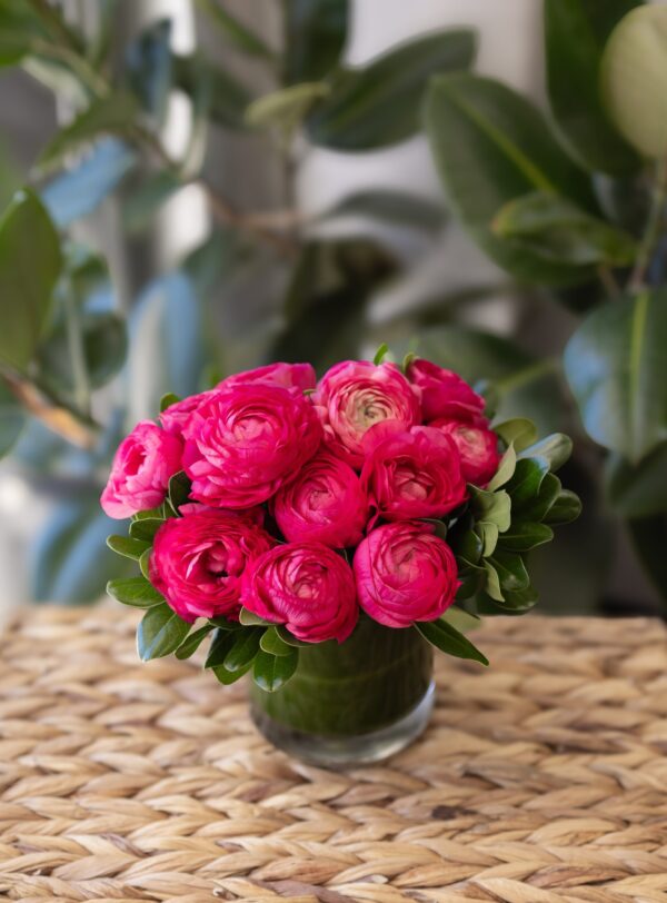 Ranunculus en Vogue - Image 2