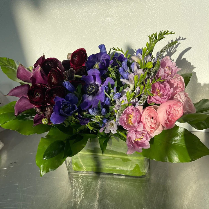 PLATINUM_Genesis_Floral_720x