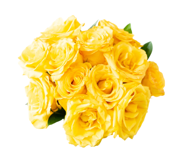 Sunshine Rose Bouquet