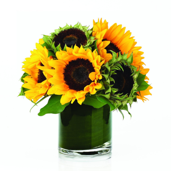 Sunflower Cylinder
